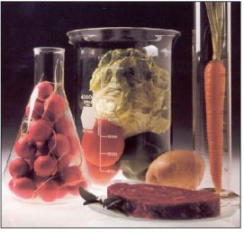 Photo credit: accessexcellence.org