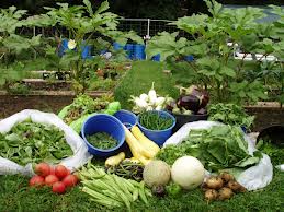 Photo credit: www.stjohns.edu