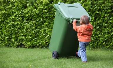 Photo credit: bindoctor.com