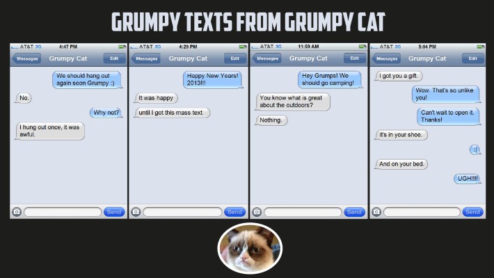 Photo: amazecats.com