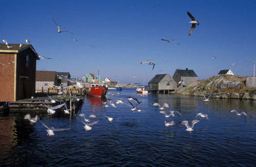 Fishing Village at Peggy's Cove (Photo: gocanada.about.com)