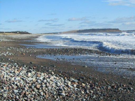 Closest beach to my house