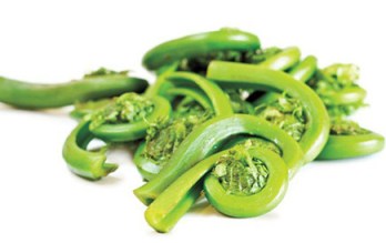 Fiddleheads! Photo: freshjuice.ca