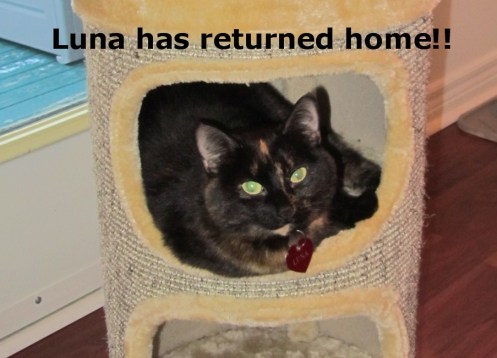 Luna is back! July 4