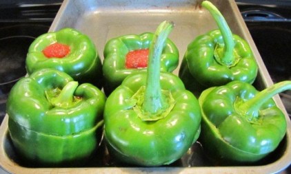 Reassembled with Their Lids