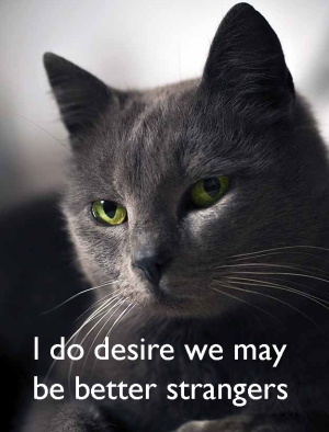 Well said, Shakespearean Cat! (Source: http://www.buzzfeed.com/lukelewis/shakespearean-insults-to-use-in-everyday-life)