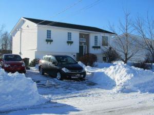 Gratuitous photo after yesterday`s blizzard - only about 20 cm but it drifted up high!