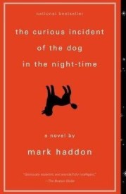 The Curious Incident of the Dog in the Night Time