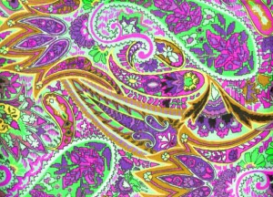 Photo: Creative Commons: Hendrike 2007 http://commons.wikimedia.org/wiki/File%3APaisley_2.jpg