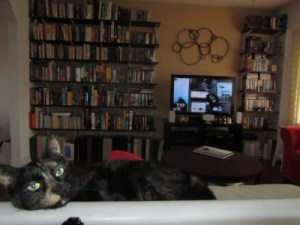 Current living room, hosted by Gigi