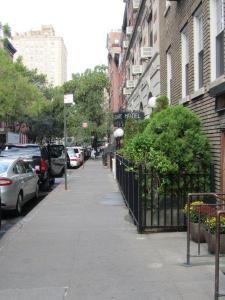 Leafy Street in Greenwich Village