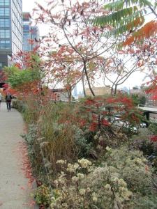 The High Line
