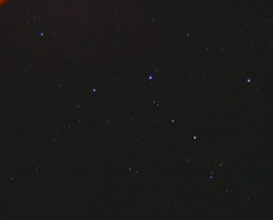 Cassiopeia (Photo by Will Rutherford from warren-wilson.edu)