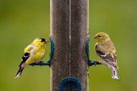 Photo: bythedrop.com