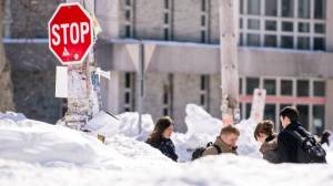 Lovely winter weather. (Photo: Chronicle Herald)