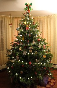 Our Tree