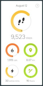 FitbitScreen3