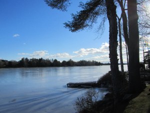 A little skim of ice on the lake and blue skies for Xmas morning