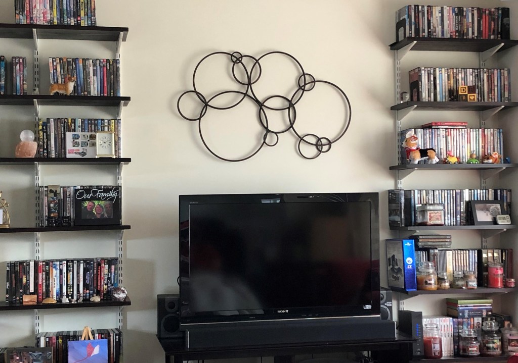Living room interior with TV and DVD shelves